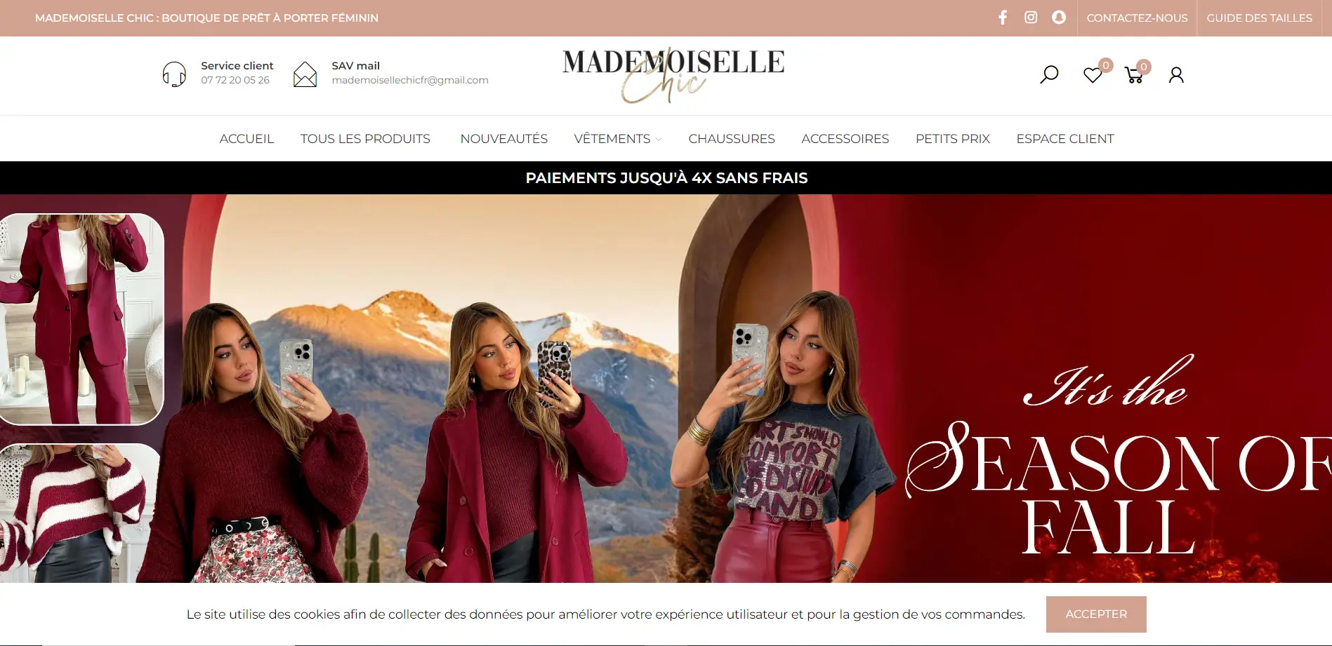 Sitio web e-commerce